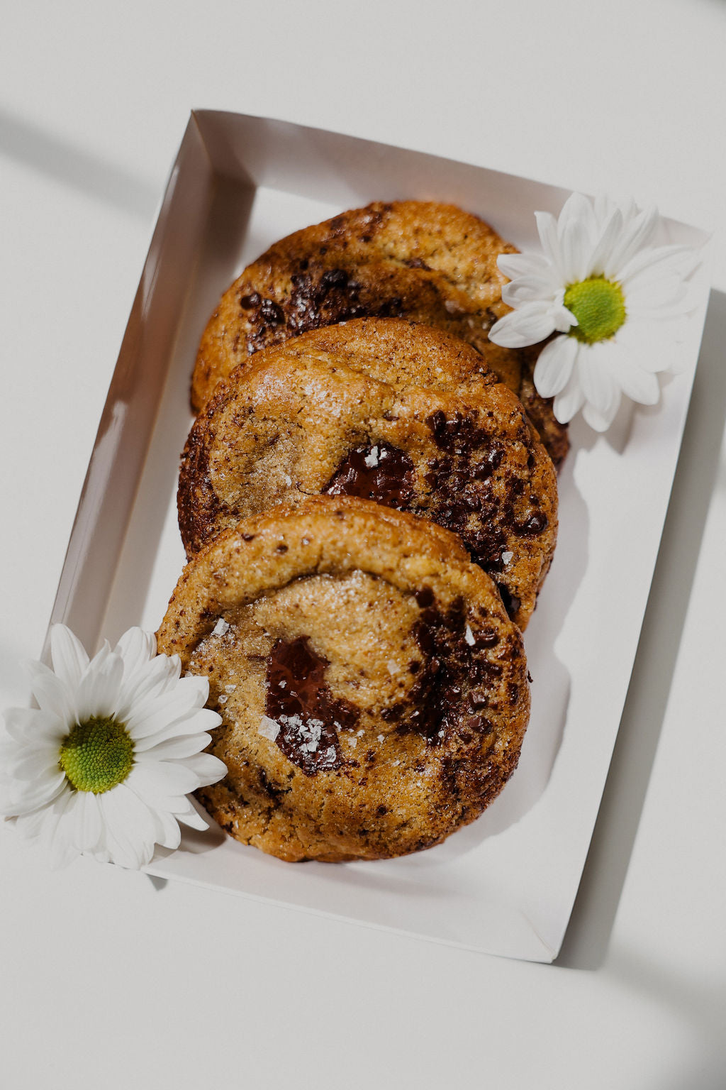 Chocolate Chunk Cookies - Box of 3